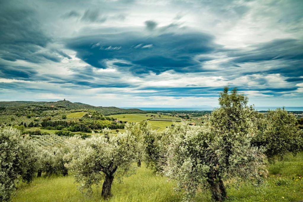 Agriturismo Il Tripesce Vada Exterior foto